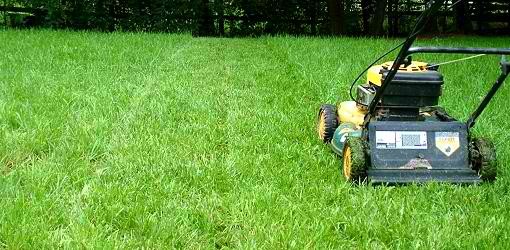 A lawn mower mowing the green grass