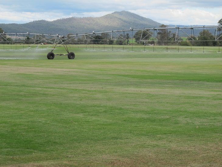 Australian Lawn Concepts IMG_2551 20