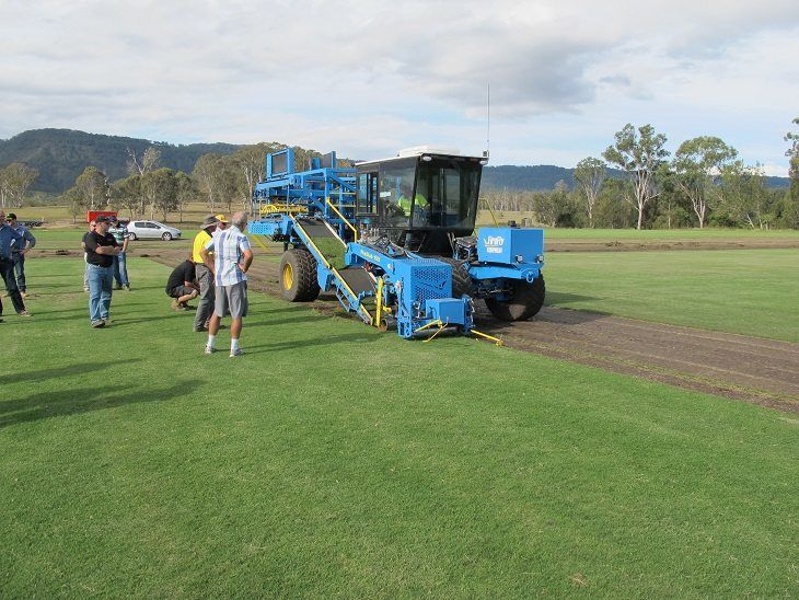 Australian Lawn concepts turf specialists laying turf on a field