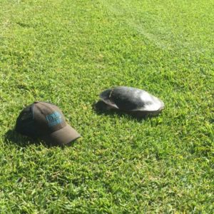Tim The Turtle