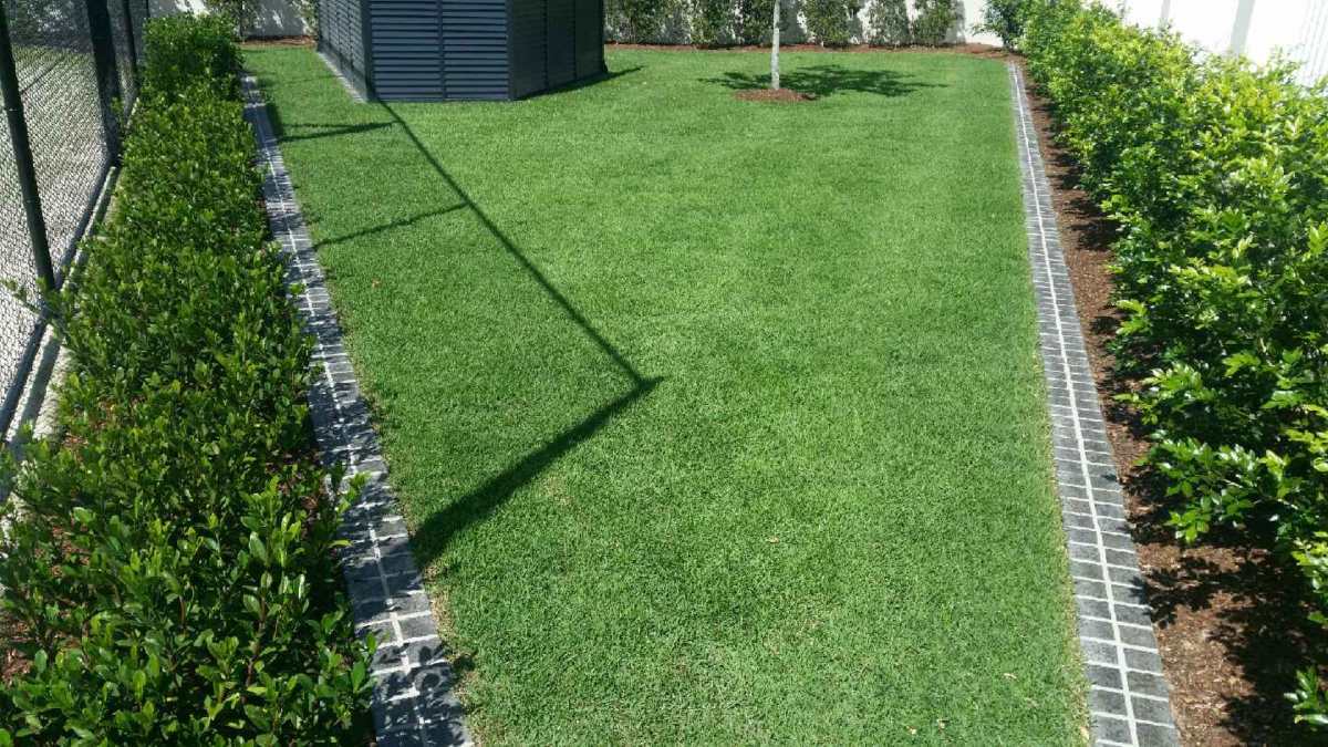 Turf Upper Caboolture 7 Turf Upper Caboolture 7