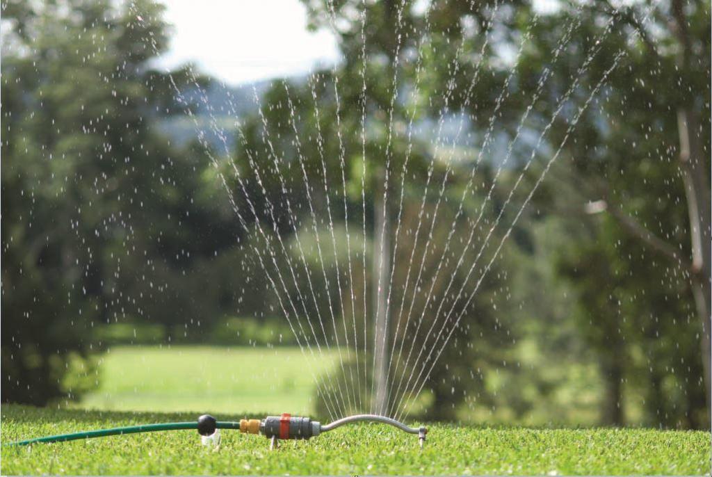 watering your lawn buffalo grass