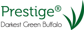 prestige buffalo turf logo