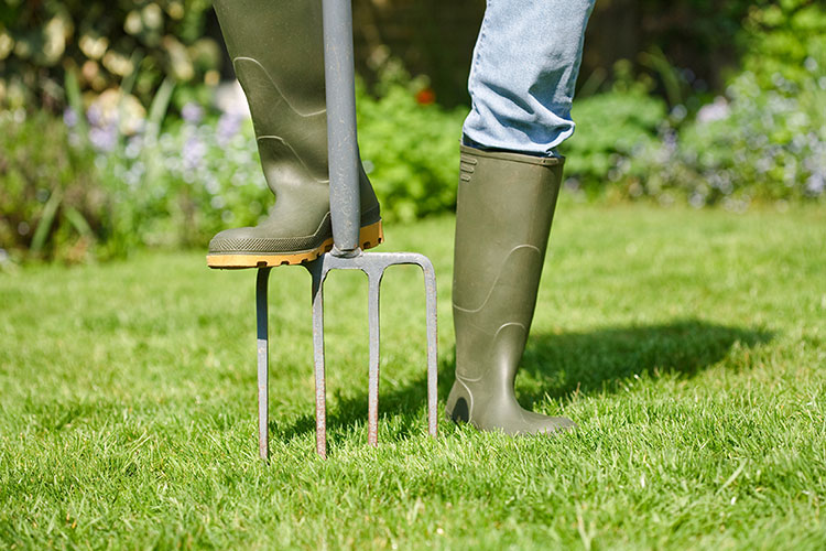 Lawn-Aeration-with-Garden-Fork-e