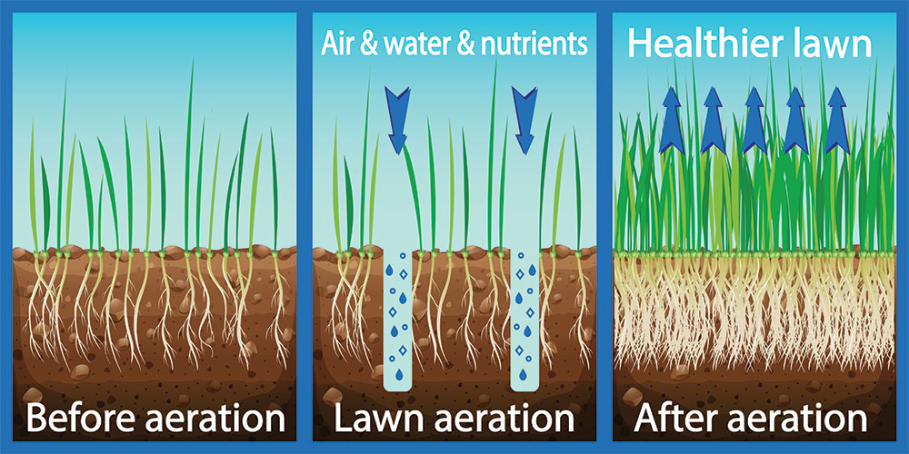 Lawn Aeration Graphic 2e
