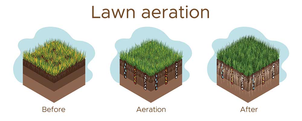 Lawn Aeration Graphic CT Lawns