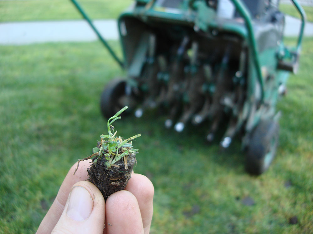 Motorised-Lawn-Aerator-Showing-Plug-e