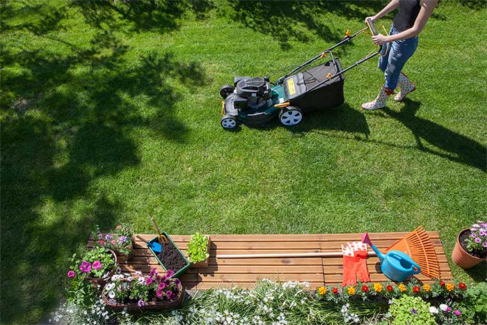 Lawn Mowing Buffalo Grass Glenview Turf
