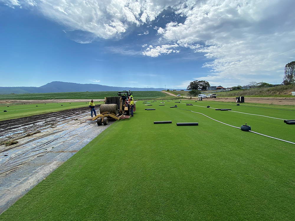 Sports Turf for The Gabba - Australian Lawn Concepts Turf Farm 10