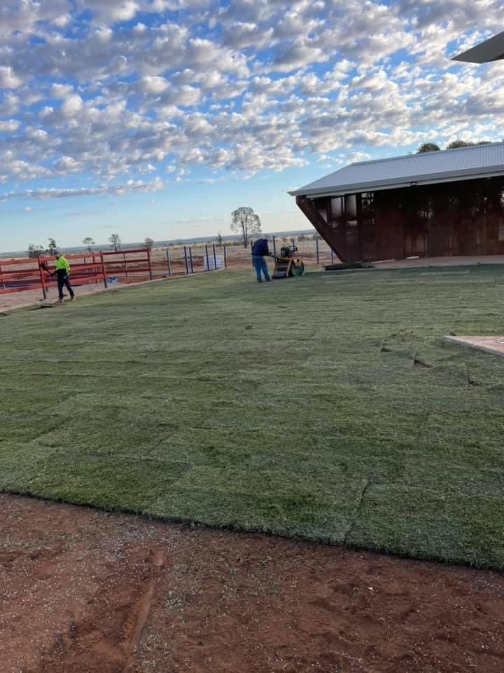 Nara Native Zoysia Turf in Mitchell