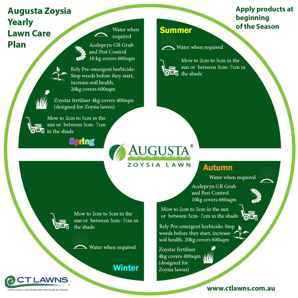 Augusta Zoysia Yearly Lawn Care Plan 251021 - CT Lawns Turf