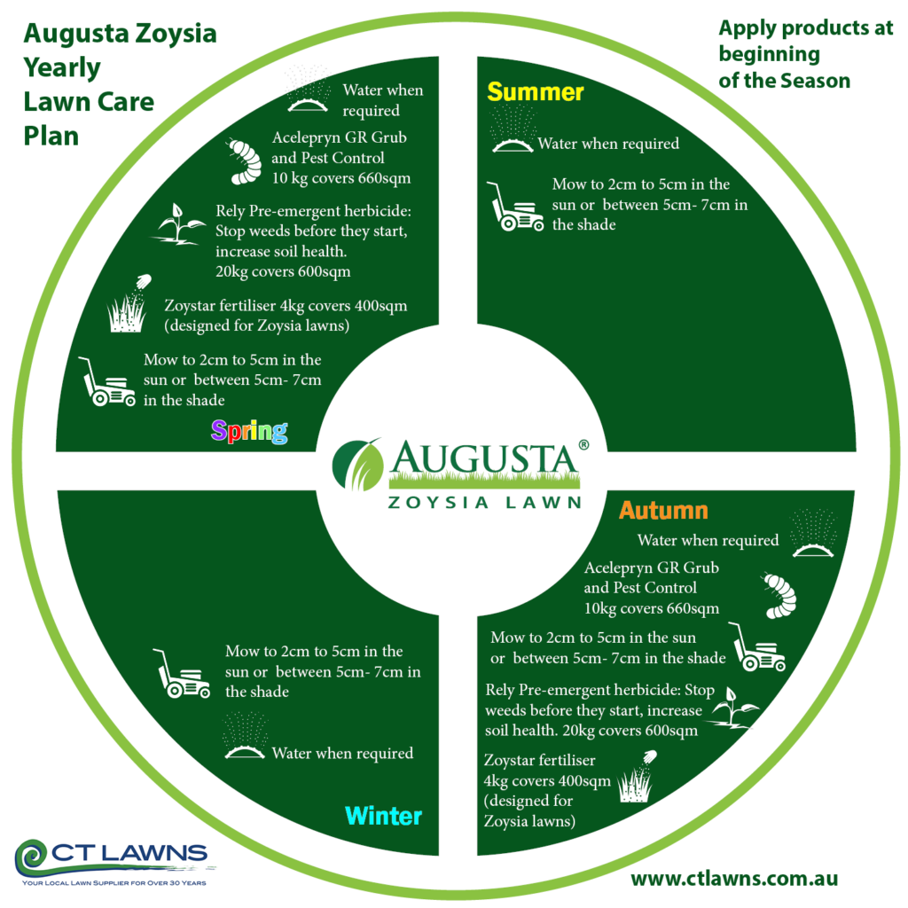 Augusta-Zoysia-Yearly-Lawn-Care-Plan-251021-CT-Lawns-Turf