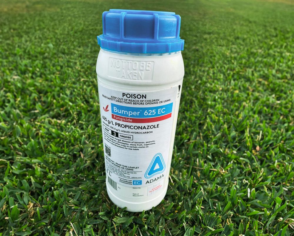 Bumper-625-EC-Lawn-Turf-Grass-Fungicide-1-Litre-CT Lawns Sunshine Coast