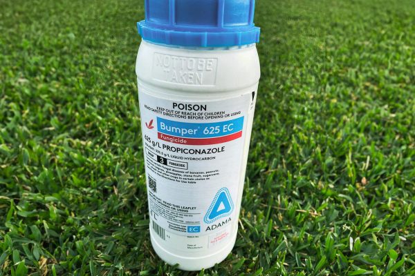 Bumper-625-EC-Lawn-Turf-Grass-Fungicide-1-Litre-CT Lawns Sunshine Coast