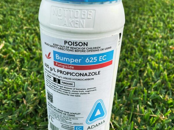 Bumper-625-EC-Lawn-Turf-Grass-Fungicide-1-Litre-CT Lawns Turf Sunshine Coast