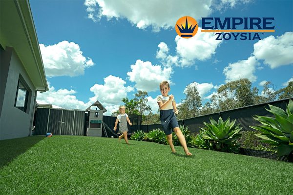 Empire-Zoysia-lawn-11-hi-res-Australian-lawn-Concepts-Turf-1611-e2v2