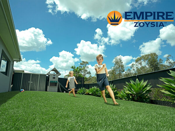 Empire-Zoysia-lawn-11-hi-res-Australian-lawn-Concepts-Turf-1611-e2v2