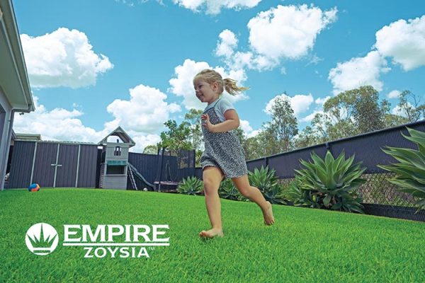 Empire-Zoysia-lawn-12-CT Lawns Turf