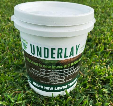 Lawn-Play-Underlay-Fertiliser-+-Water-Crystals-1-kg-tub CT Lawns Turf