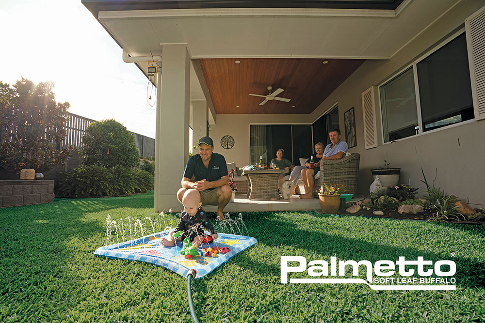 Palmetto-Buffalo-Lawn-Turf-Grass-CT Lawns-Turf-13