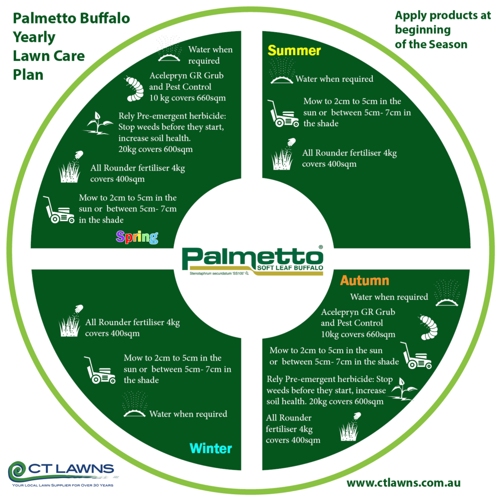 Palmetto Buffalo Yearly Lawn Care Plan 251021 CT Lawns Turf