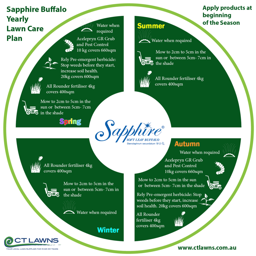Sapphire Buffalo Yearly Lawn Care Plan 251021 CT Lawns Turf