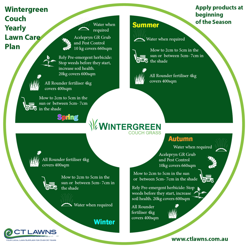 Wintergreen Couch Turf Yearly Lawn Care Plan 251021 CT Lawns Turf