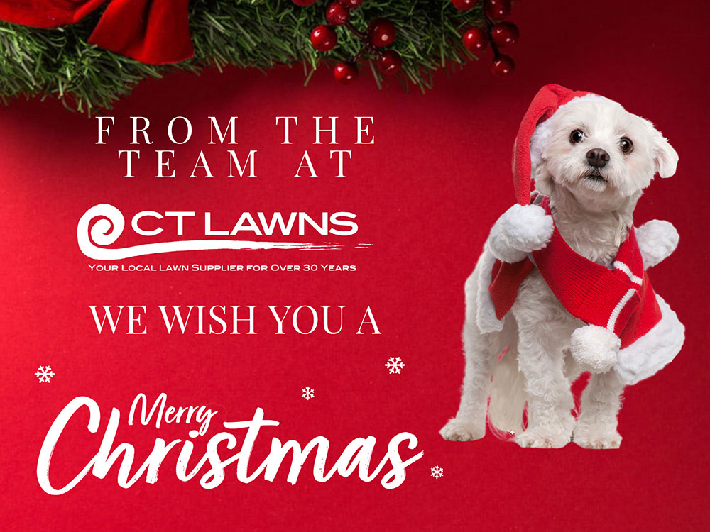CT-Lawns-Turf-Christmas-2021