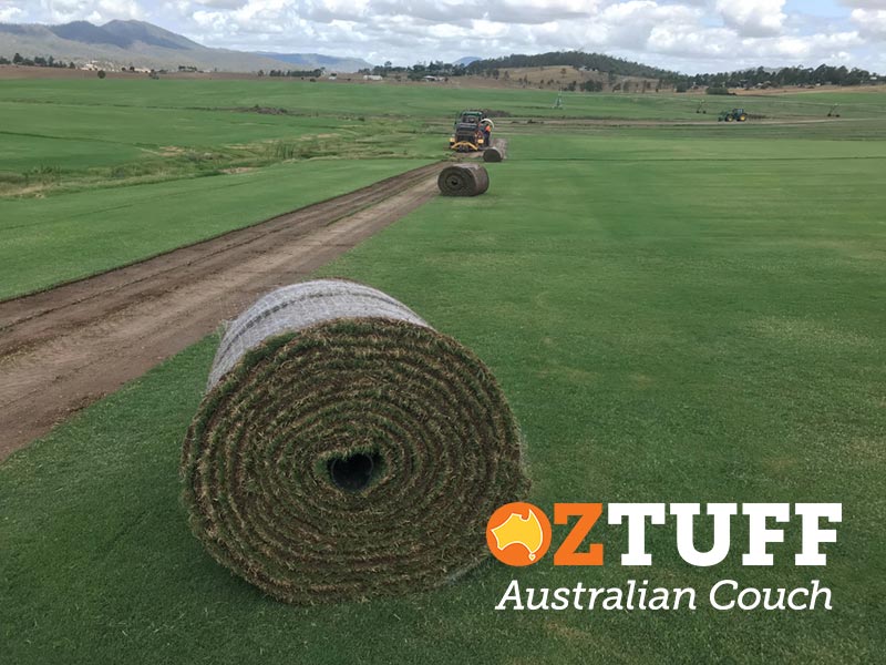 Oz Tuff Sports Turf at The Waves Sports Complex in Bundaberg