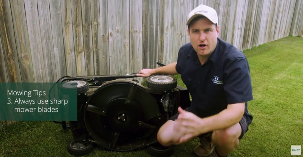 Lawn Mowing Top Tips from CT Lawns Turf